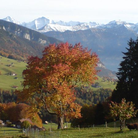 Hotel Rothorn Vintage-Style Sigriswil Eksteriør billede