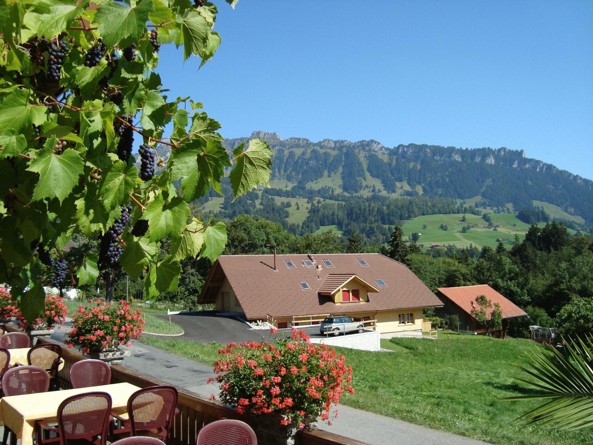 Hotel Rothorn Vintage-Style Sigriswil Eksteriør billede